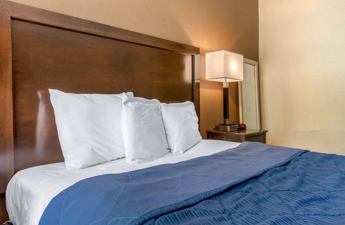 Peterson Park Hotel | Rodeway Inn Chicago North Shore - Lincolnwood