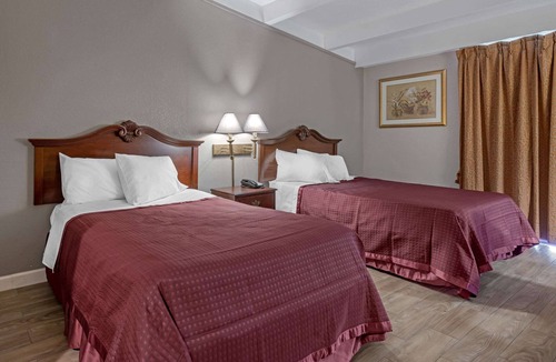 Clermont Hotel | Rodeway Inn Clermont North