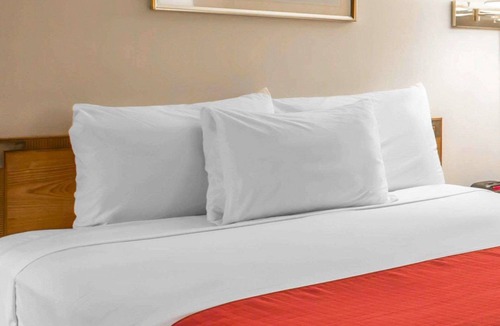 Lake Placid Hotel | Rodeway Inn Lake Placid South