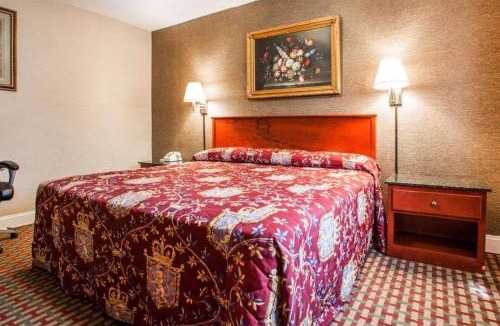 Paterson Hotel | Rodeway Inn Paterson Great Falls Park Area