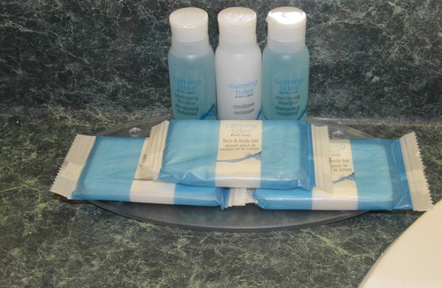 East Dublin Hotel | Rodeway Inn & Suites Dublin