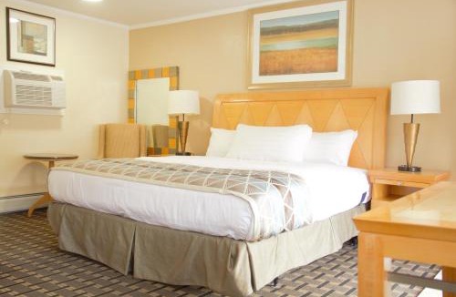 Adams Hotel | Rodeway Inn