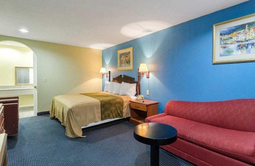 South Houston Hotel | Rodeway Inn