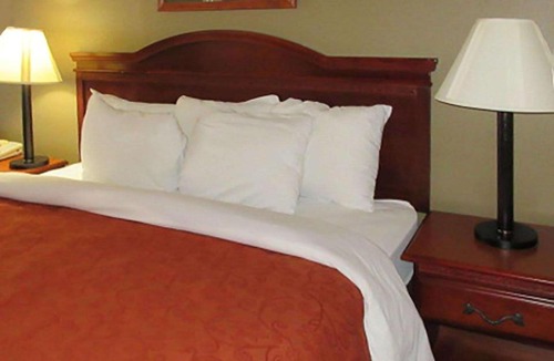 Walterboro Hotel | Rodeway Inn Walterboro I-95