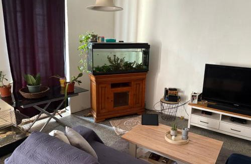 Saint-Pierre-le-Moutier House | Rodrigue