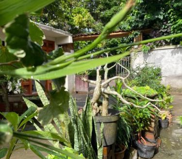 Pecatu House | Roejas Sunrise Guest House