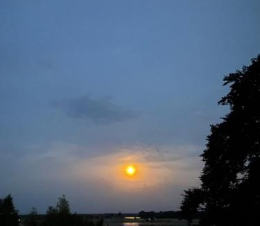 Faxe Bed & Breakfast | Roholtegaard