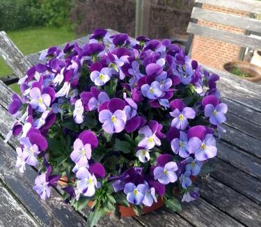Faxe Bed & Breakfast | Roholtegaard-Overnatning