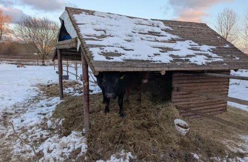 Faxe Bed & Breakfast | Roholtegaard-Overnatning