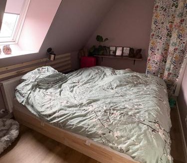 Skanderborg Villa | Rolig base under smukfest