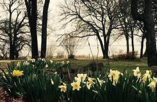 Checotah House | Rolling Oaks Retreat on Eufaula Lake, OK