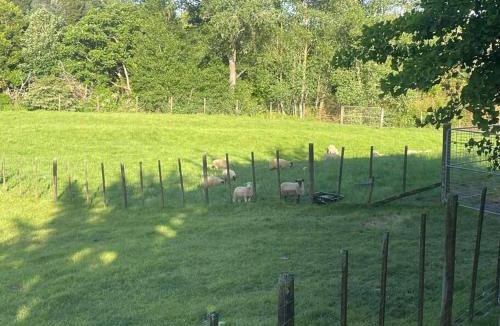 Buckland Apartment | Romantic Country Cottage - 1 Bedroom open plan