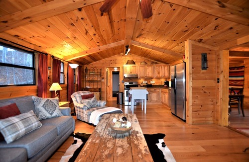 Mineral Bluff Cabin | Romantic Couples' Hide-Away-WiFi, Hot Tub, Dock on Toccoa River, VRBO Discounts!