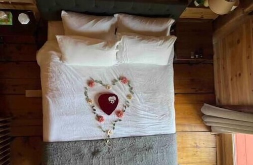Colliersville Cabin | Romantic Cozy Cabin with a View of the Wetlands