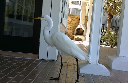 Crystal Beach House | Romantic Escape; Open Gulf View; Your Own Private Dock! Elevator to master.