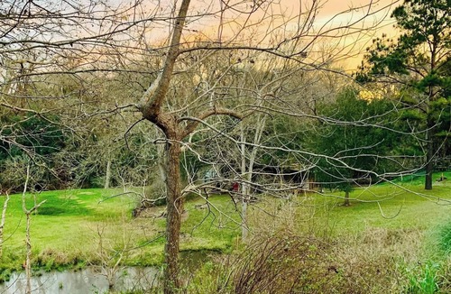 Chappell Hill Cottage | Romantic Farmhouse - Pond - Fenced - Private - 8 Miles to Brenham