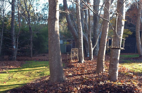 Olinda House | Romantic Forest Escape at The Beeches Olinda Accommodation