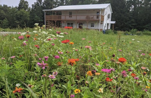 Whitley City Apartment | Romantic Garden Suite with Jacuzzi & Pasture Views at Beulah Farm