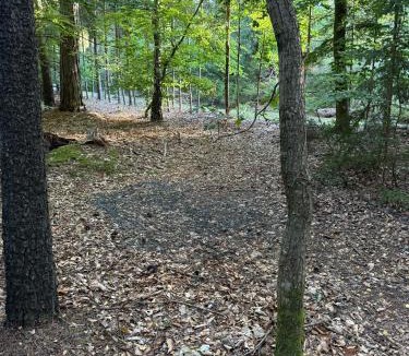 Frederiksvaerk Other | Romantic glamping in the forest near a sandy beach