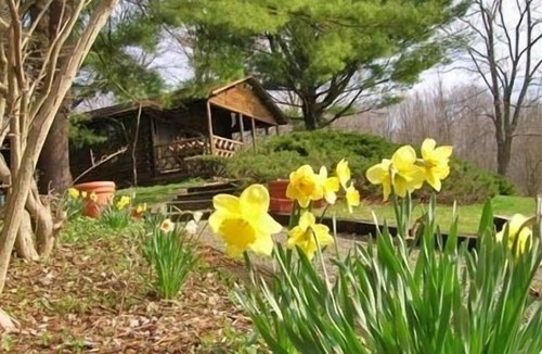 Stanfordville Cabin | Romantic Log Cabin on Privately-Owned Lake with Fireplace
