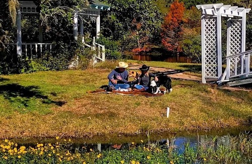 Cat Spring Cabin | Romantic Mystic Woods Cabin~Private Hot Tub with Optional B&B & TX Ranch Activities!
