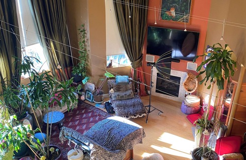Emeryville Apartment | Romantic Plant filled studio Beautiful vibes! Spa Services Available
