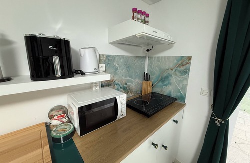 Andelfingen District Apartment | Romantic studio surrounded by vineyards II