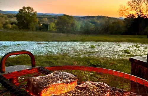 Chestnut Mound Cabin | Romantic Tiny Cabin Farm Stay with Jacuzzi Tub