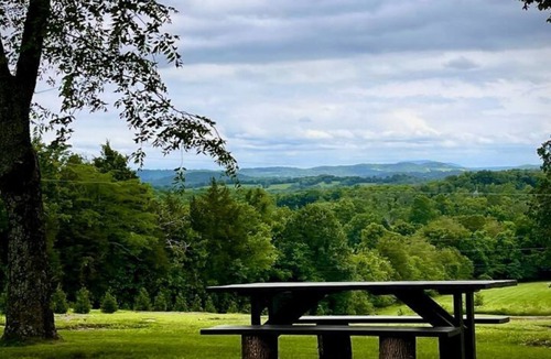 Chestnut Mound Cabin | Romantic Tiny Cabin Farm Stay with Jacuzzi Tub