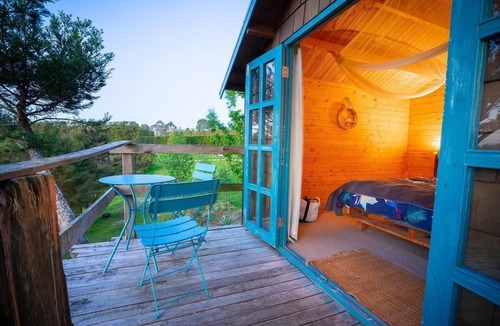 Aongatete Cabin | Romantic Tranquil Tui Treehouse