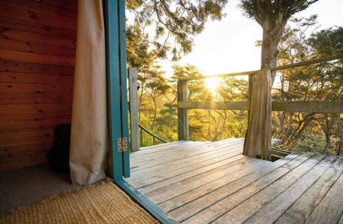 Aongatete Cabin | Romantic Tranquil Tui Treehouse