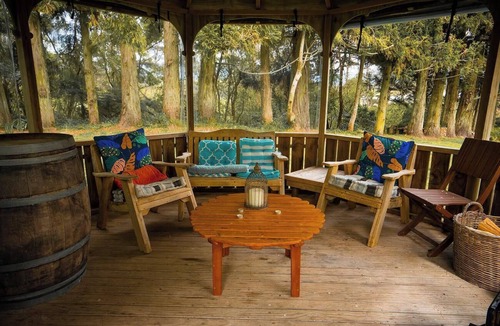 Aongatete Cabin | Romantic Tranquil Tui Treehouse