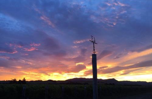 Broomfield House | Romantic Vineyard getaway