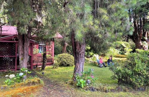 Volcano Cottage | Romantic Volcano Village Cottage