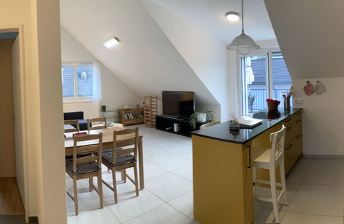 Bad Zurzach Apartment | Roof top flat