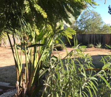 Central District House | Room 1