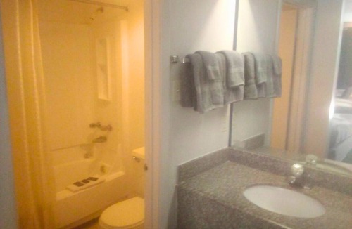Livingston Apartment | Room 136 - King Bed Hotel Studio