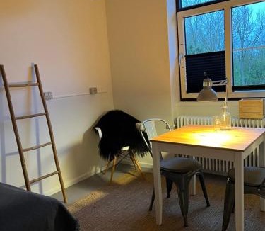 Vestervig Apartment | Room 4 - Hawkraft kulturhotel