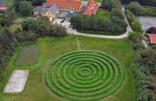 Vestervig Apartment | Room 7 - Hawkraft kulturhotel