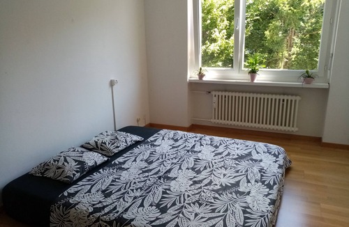 Meilen District House | Room close to the lake