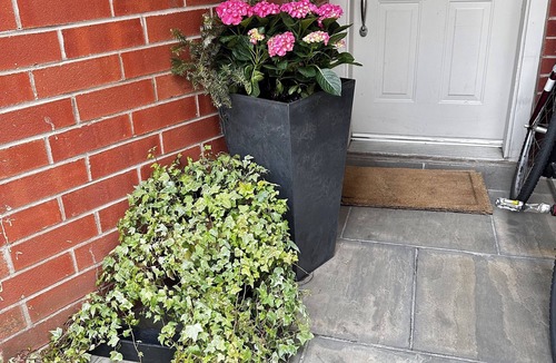 Cabbagetown Bed & Breakfast | room for rent