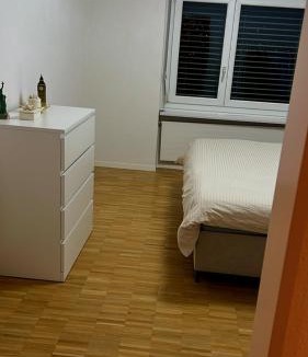 Bremgarten Apartment | Room in a shared apartment Bremgarten Ag