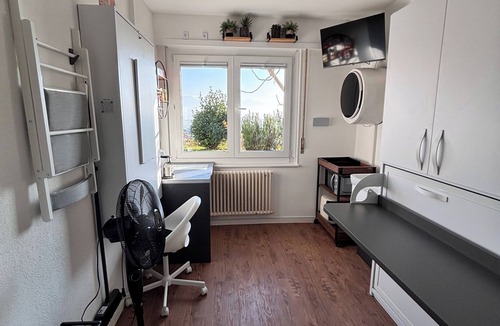 Pully Apartment | Room in Pully with washing machine - Grape Place Bellevue