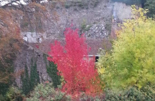 Fresnay-sur-Sarthe Bed & Breakfast | Room in typical village