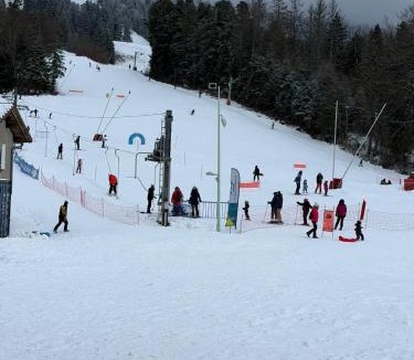 Rossillon Bed & Breakfast | Room - Les loups bleus