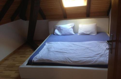 Bolligen Apartment | Room near the station Bolligen