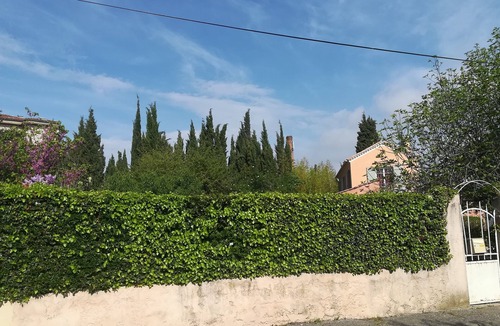 Brignoles House | Room "the Camellia"