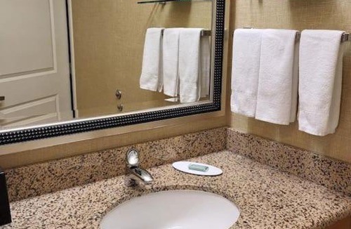 Calgary Apartment | Room to stay