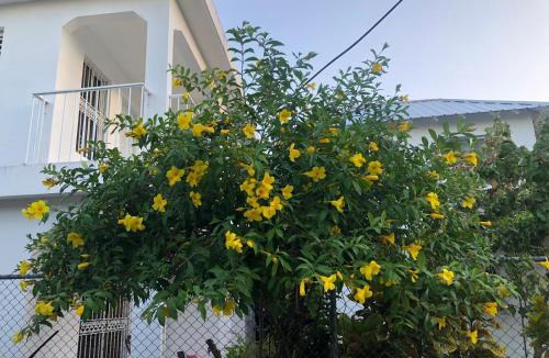 Las Terrenas Apartment | Room Vanesa