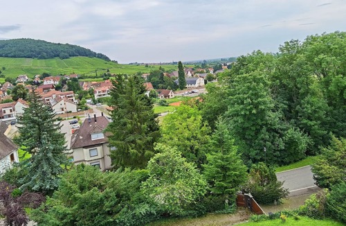 Andlau House | Room with a view